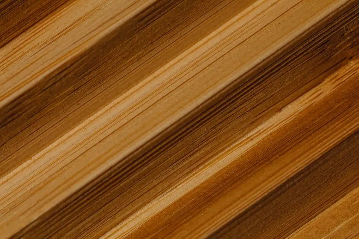 Les meilleurs types de bois résistants à l’eau pour vos projets de construction et de décoration